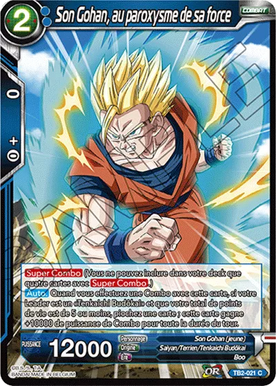 DBS TB2-030 R Oob, évaluation de force World Martial Arts Tournament C