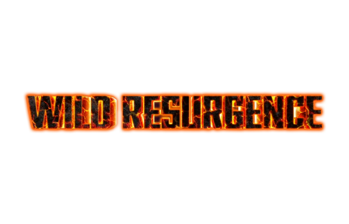 BT21 - Wild Resurgence